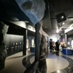 Wycieczka do Małopolskiego Centrum Edukacji Ekologicznaje 24 lutego 2026 r (45)